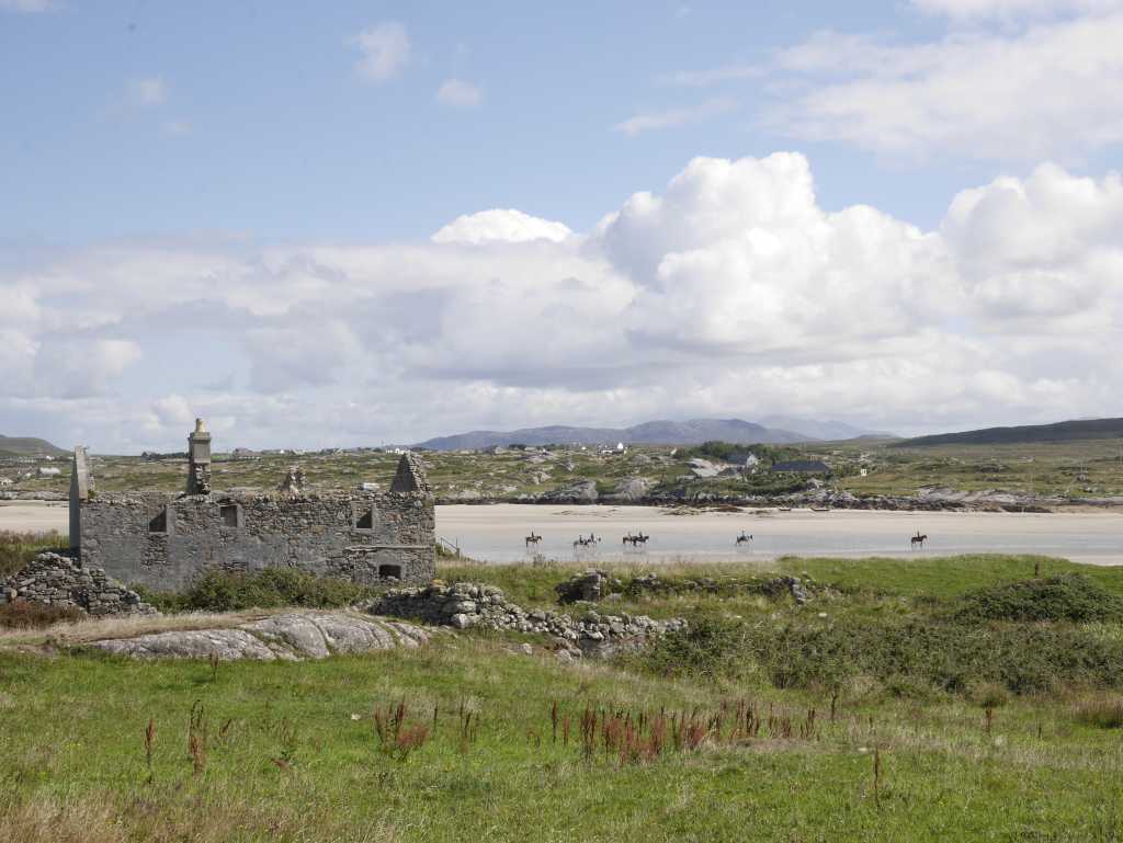 connemara omey beach pferde