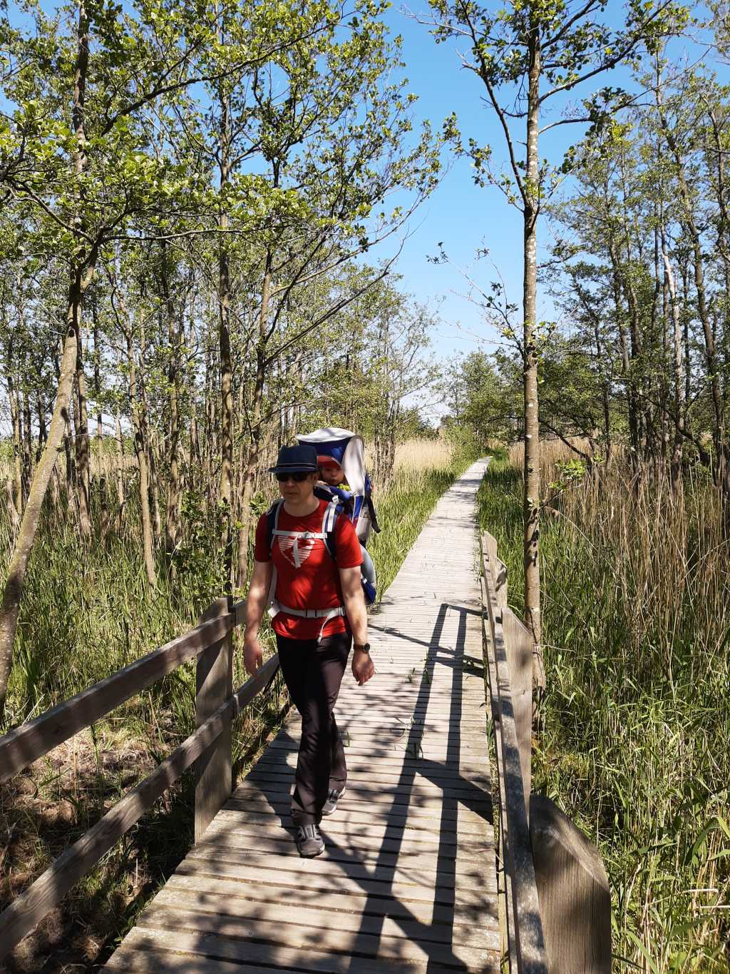 darsser ort rundweg wandern mit kraxe