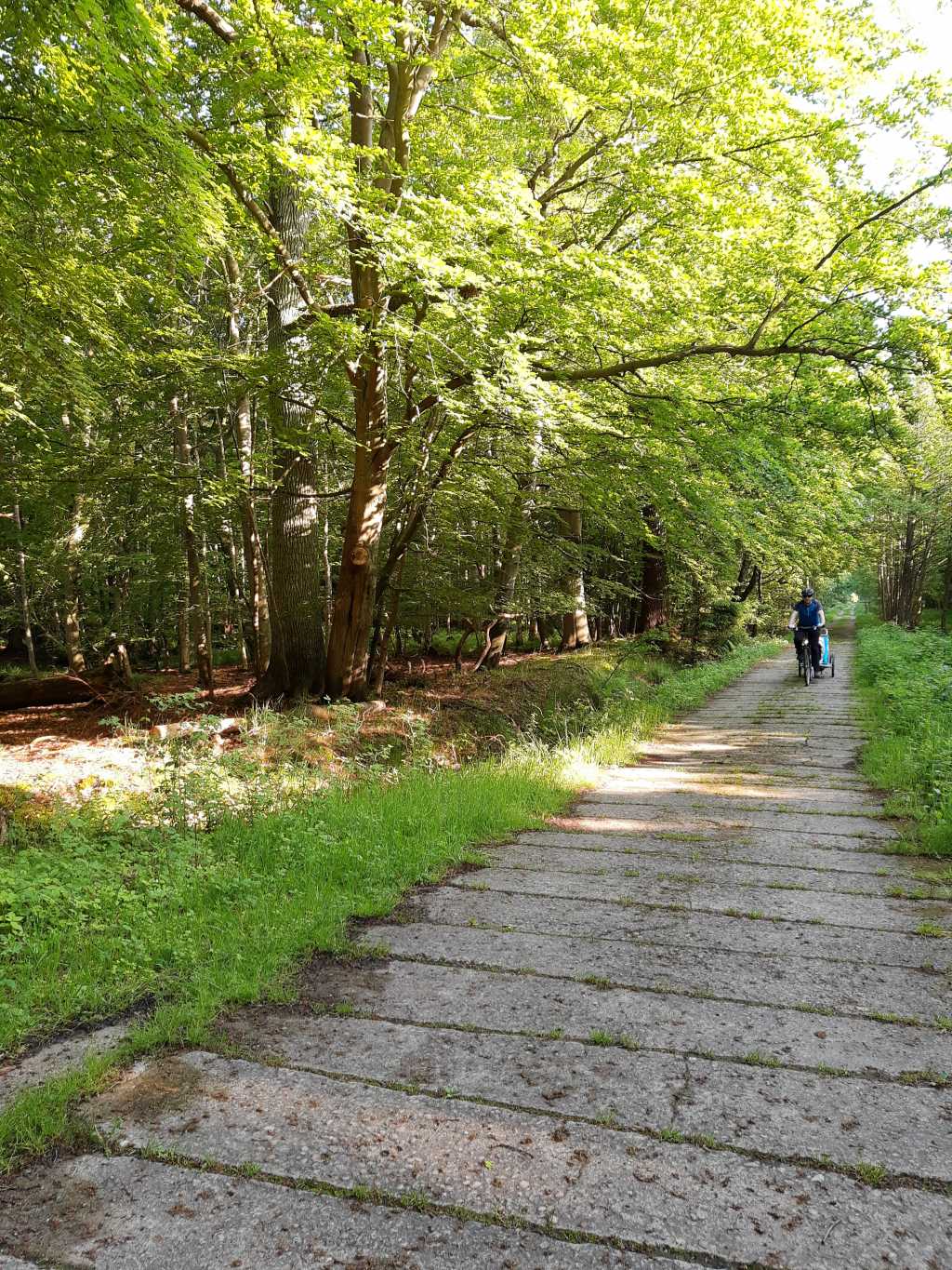 osterwald zingst fahrrad