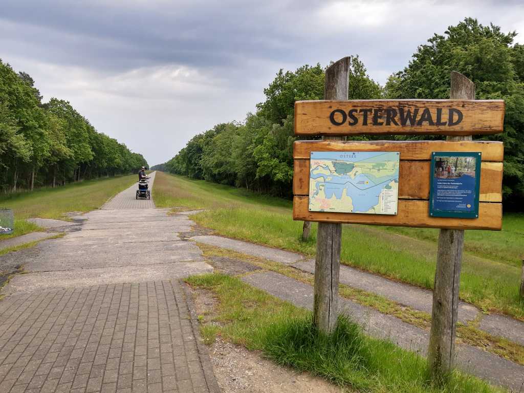 zingst pramort osterwald