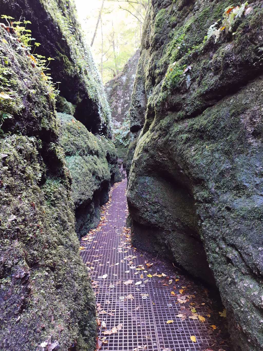 dragon gorge hiking trail
