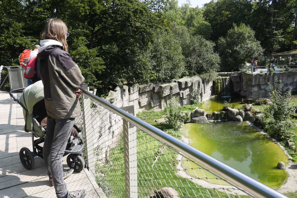 Zoo Osnabrück Bärengehege, die besten zoos in deutschland