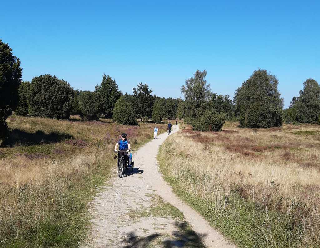 wilsede heideblüte wanderweg voll