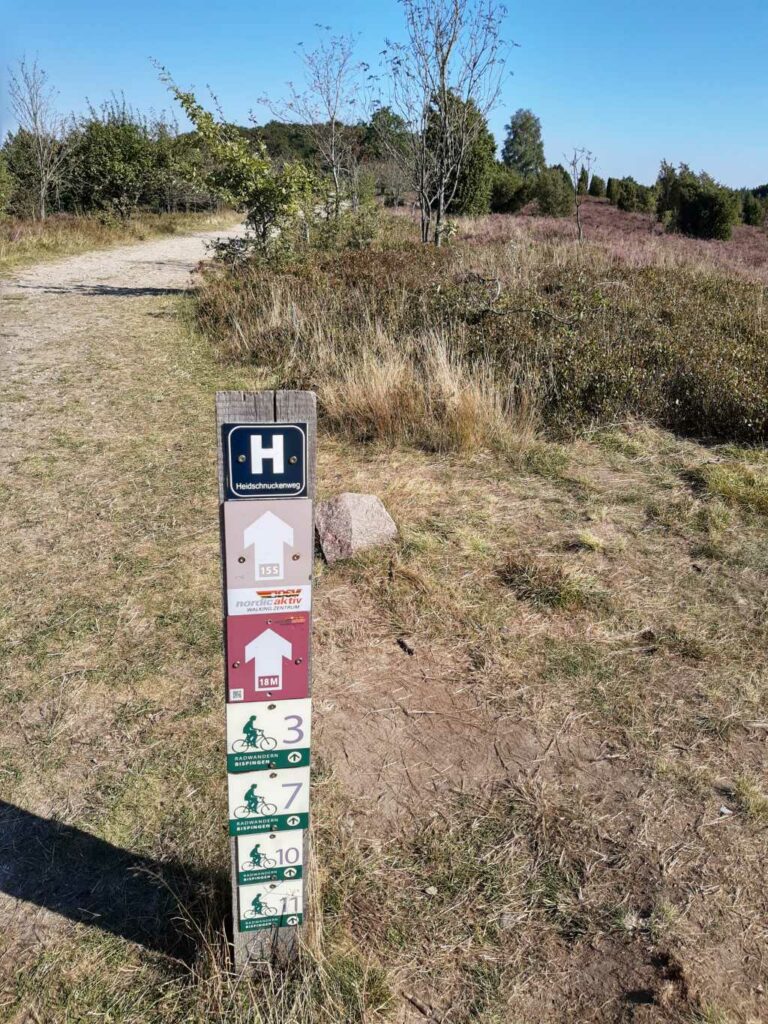 wilseder berg heide fahrrad