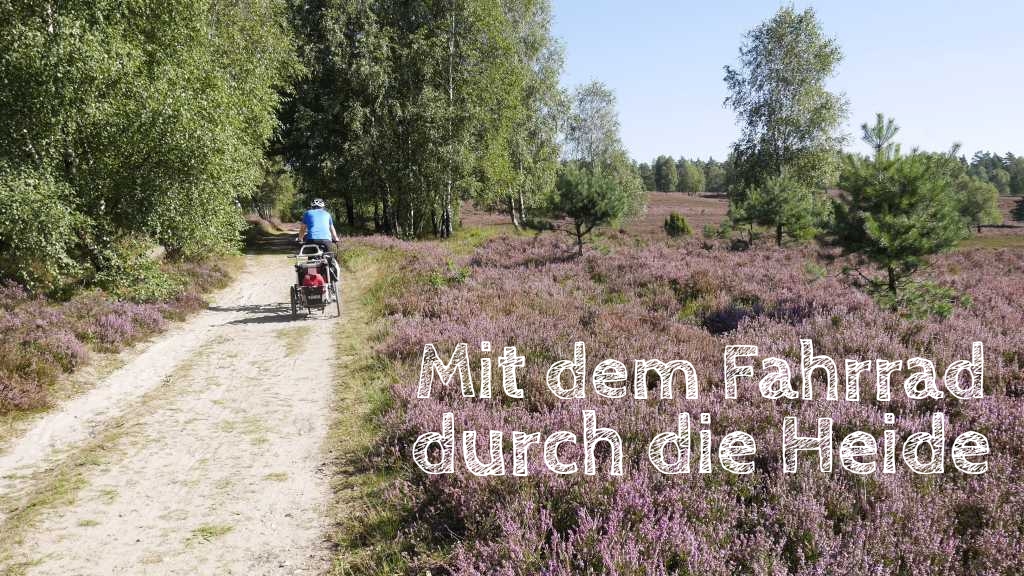 wilseder berg lüneburger heide mit dem fahrrad und kind