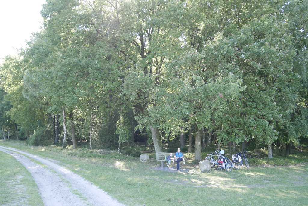 wilseder berg heide mit fahrrad