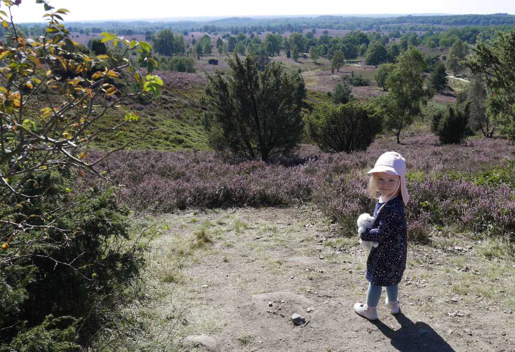 wilseder berg heide mit kind