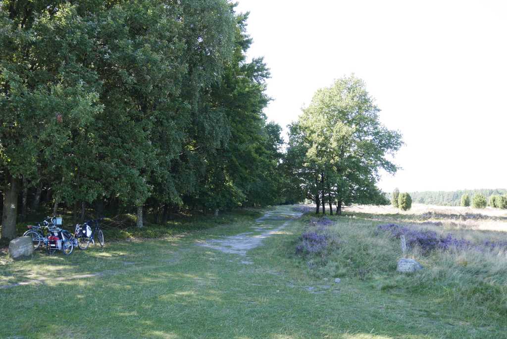 wilseder berg heide mit rad