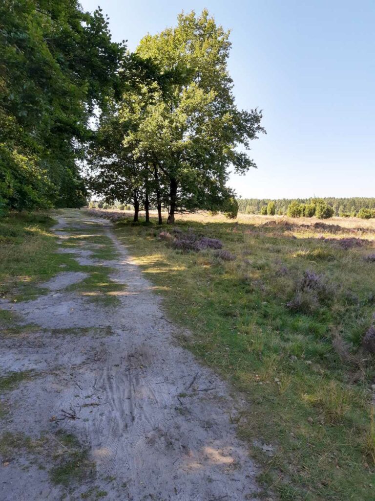 wilseder berg heide sandiger weg