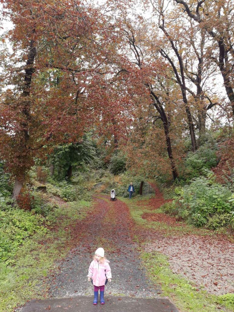 salzderhelden heldenburg wanderweg