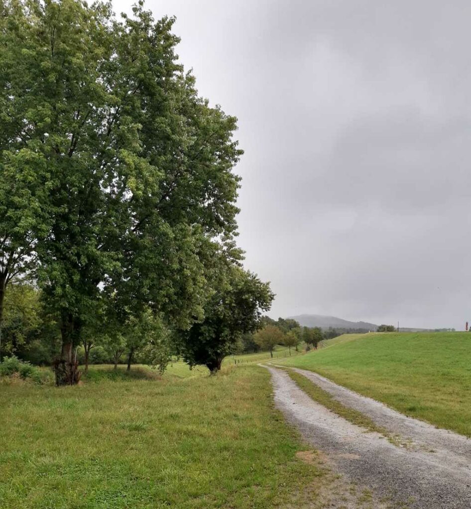 salzderhelden leinepolder