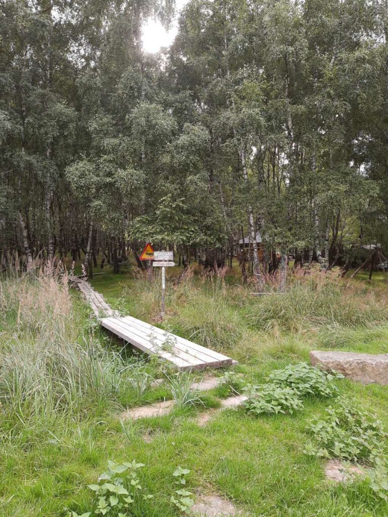 tierpark sababurg rentierlager