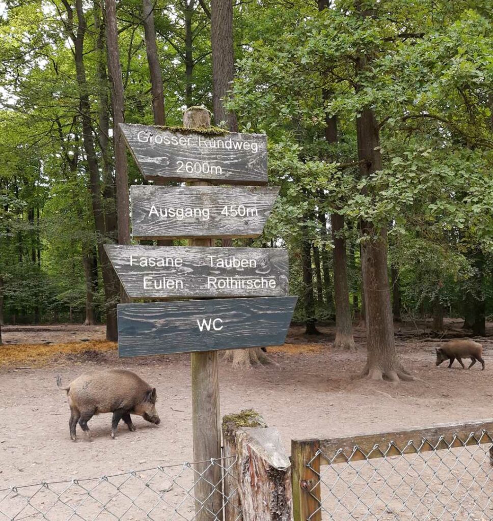tierpark sababurg wanderweg
