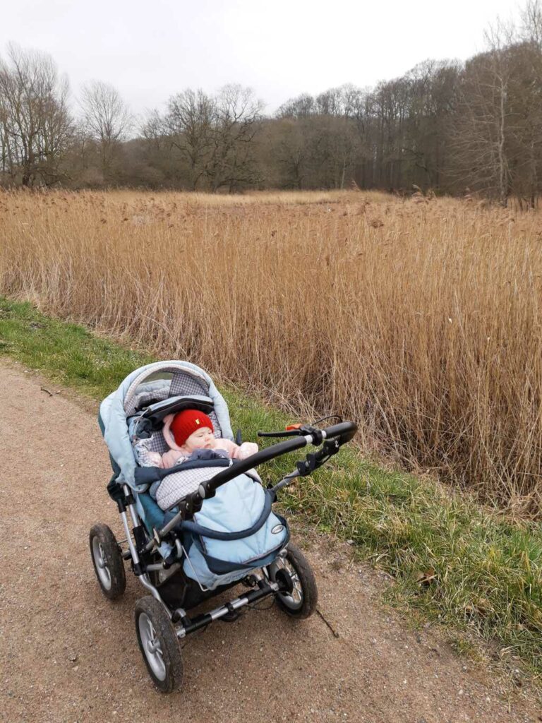 ostsee moor conventer see heiligendamm