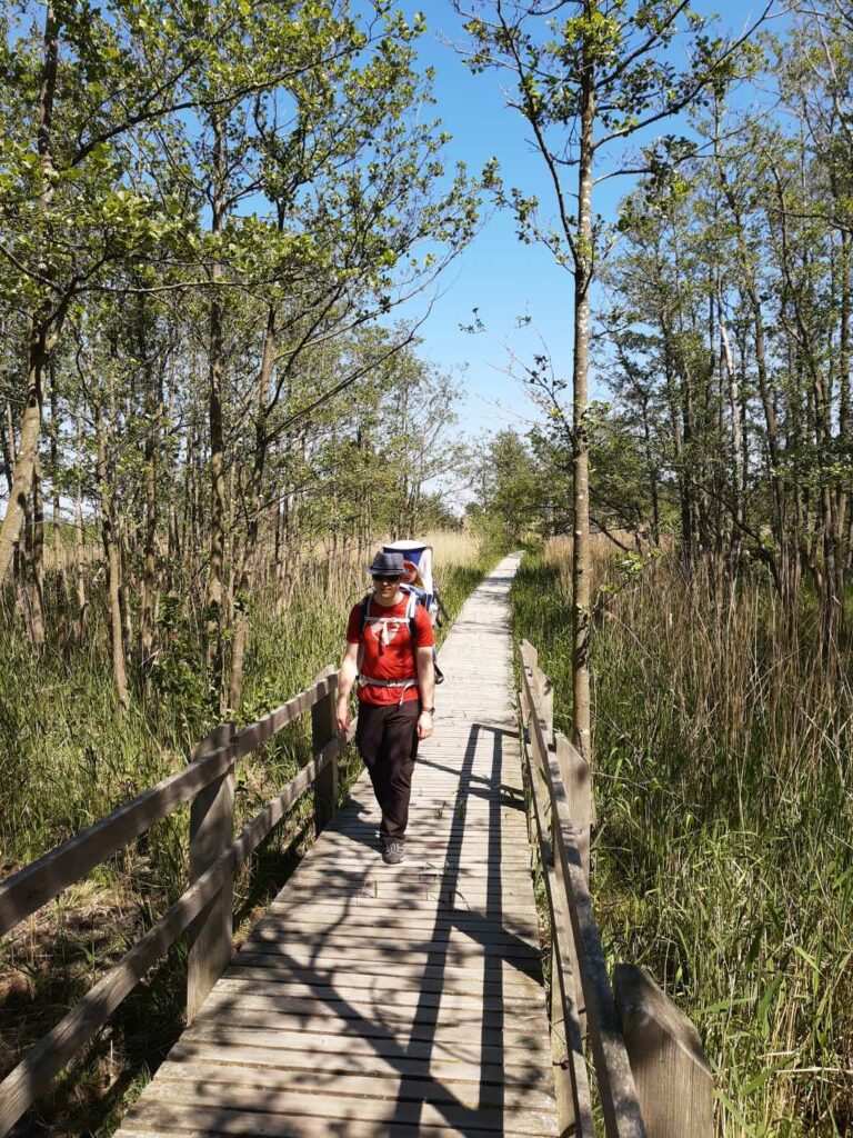 ostsee moor darsser ort