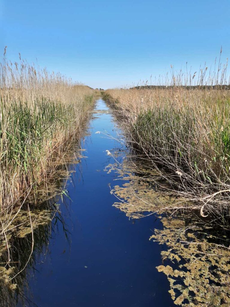 ostsee moor entwässerungsgraben