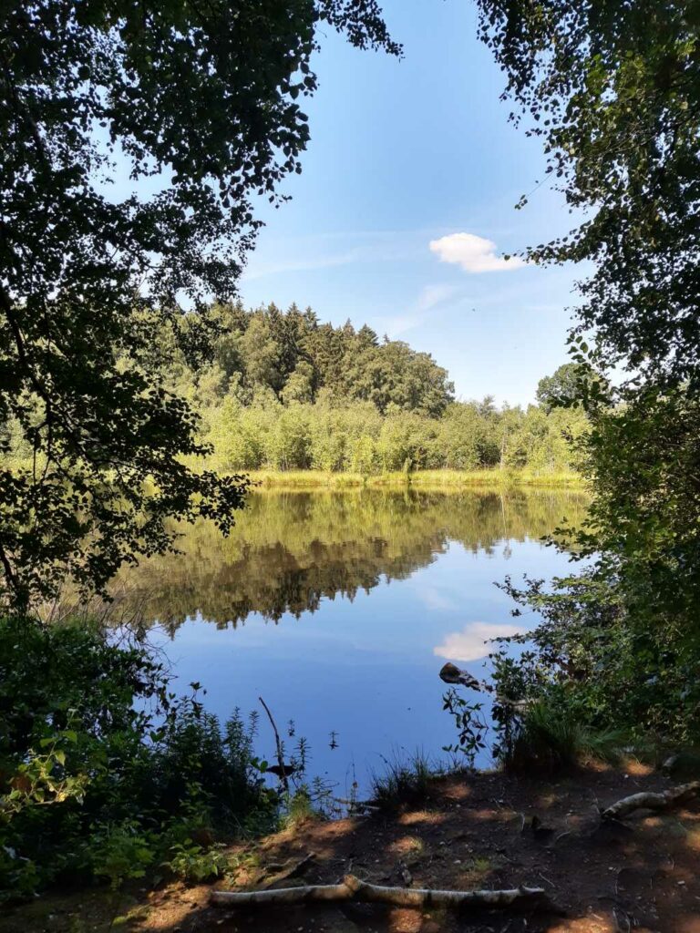 ostsee moor reinshäger see