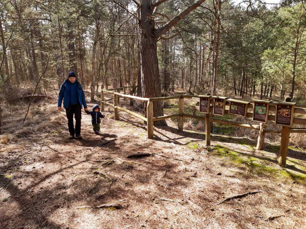 ostsee moor ribnitz lehrpfad