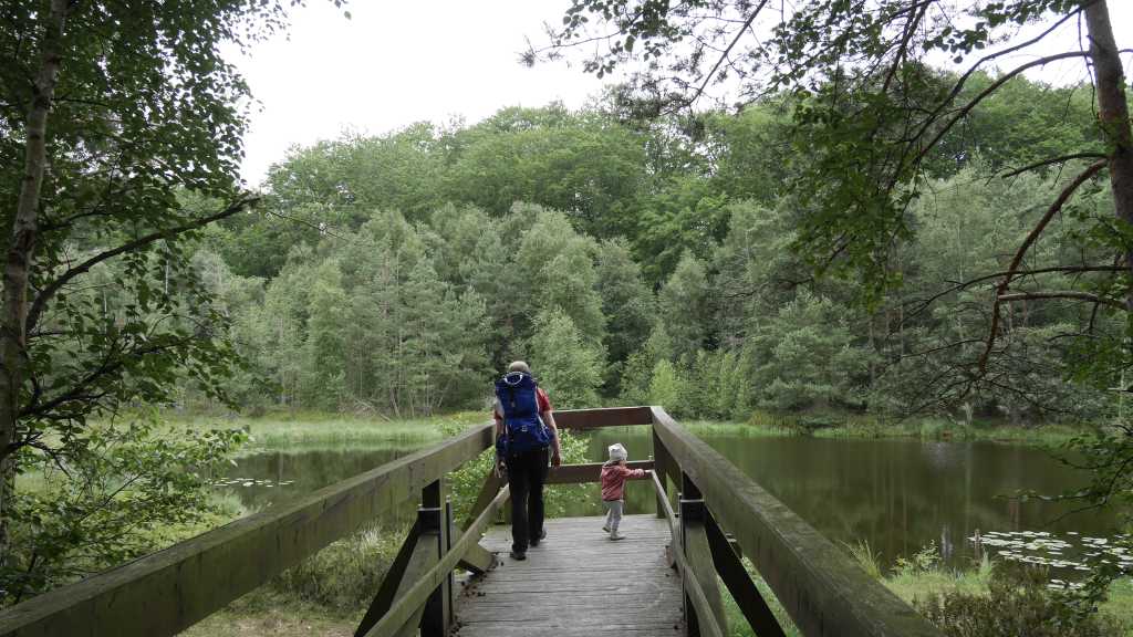 Ein Steg führt zum Ufer des Mümmelkensee