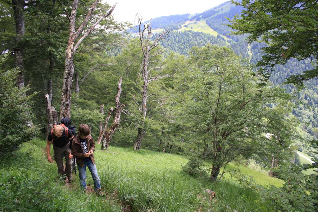 pyrenäen frankreich mit kindern