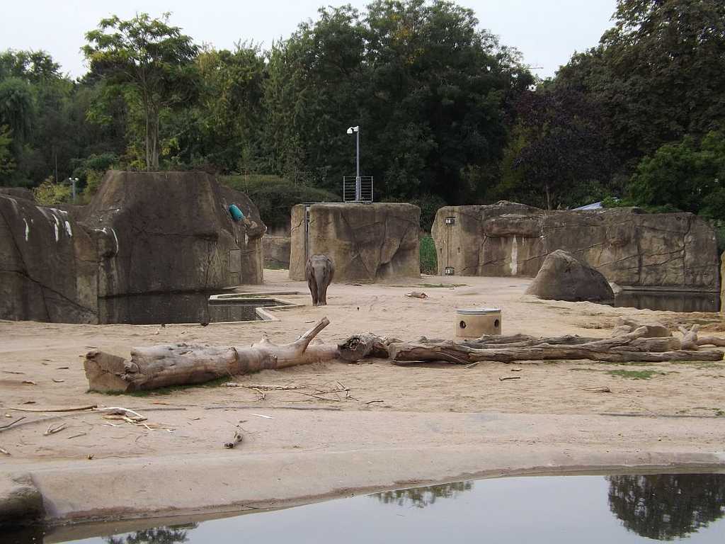 Elefantenanlage Zoo Köln