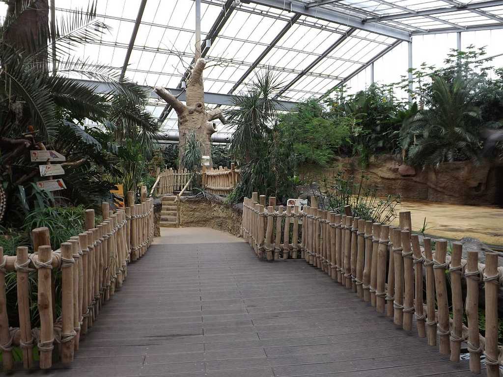 Hippodom im Kölner Zoo, die besten zoos in deutschland