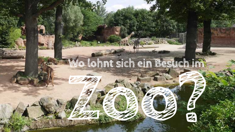 die besten zoos in deutschland