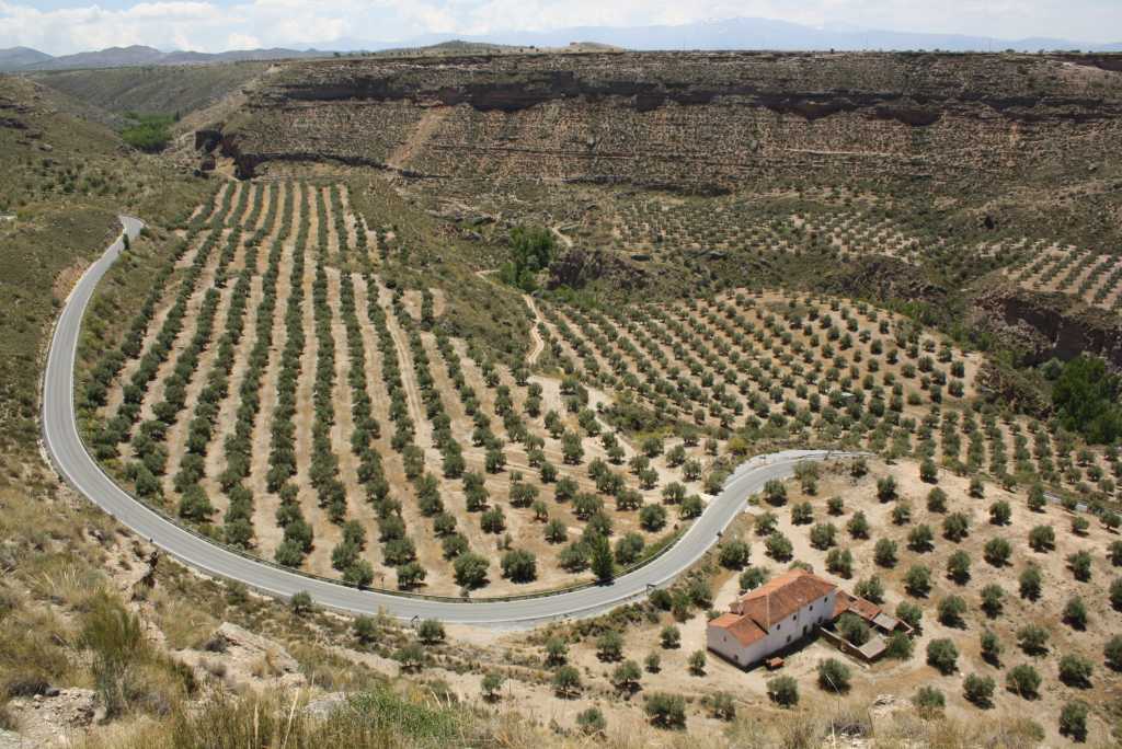 aussicht canyon