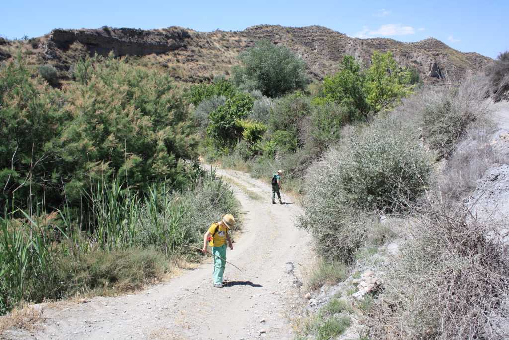 gorafe wandern mit kindern