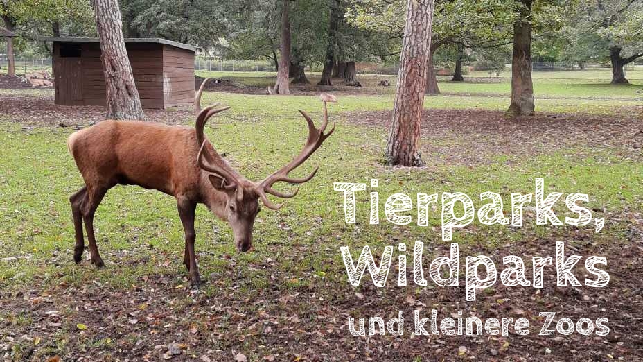tierparks in deutschland, wildparks, kleine Zoos