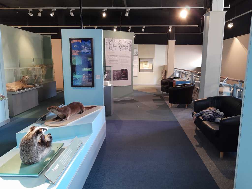 inverness museum ausstellung tiere