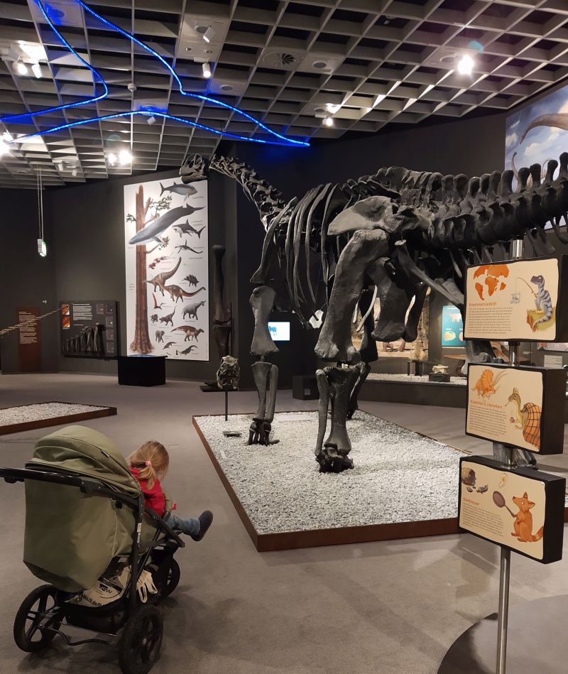 münster mit kind, naturkundemuseum dinoraurier