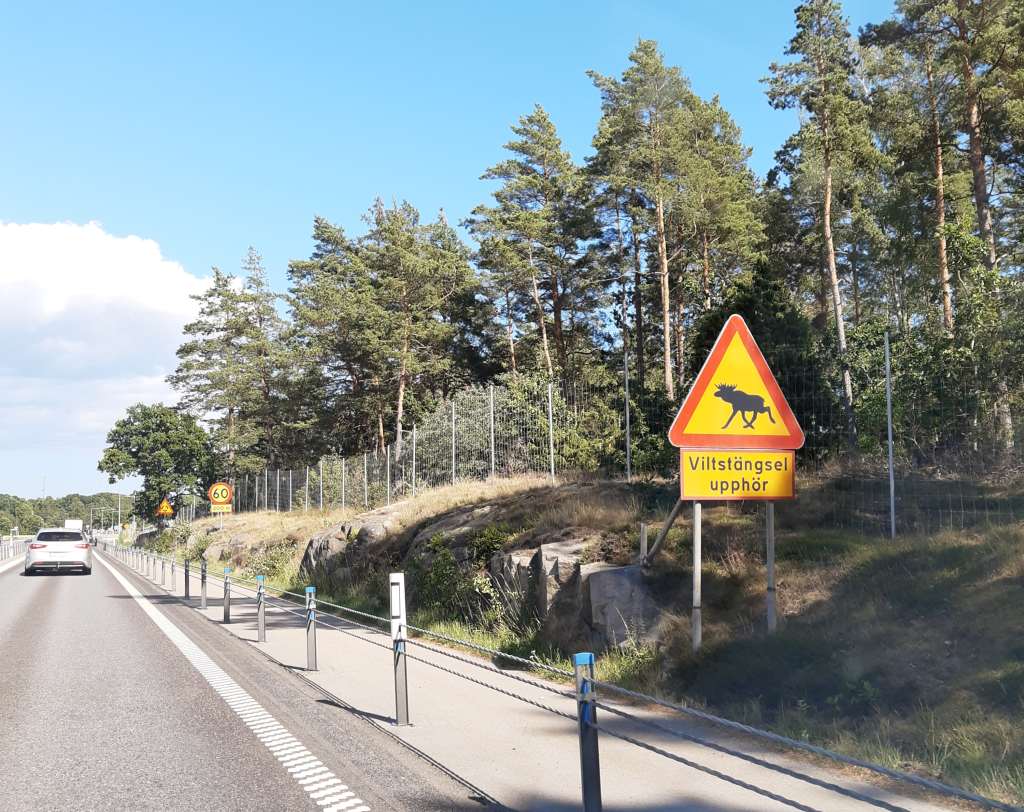 schweden autofahren vorsicht elche schild
