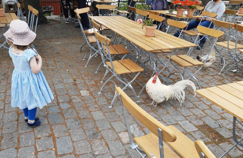 skansen stockholm terrasse krug hühner