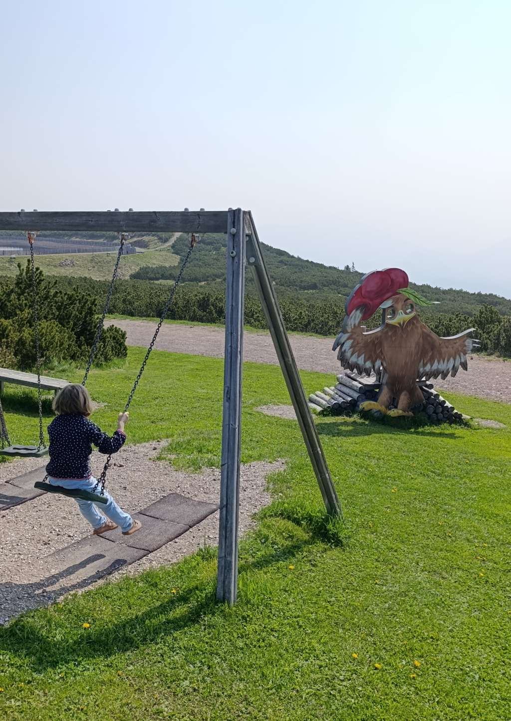 rittner horn toni schaukel