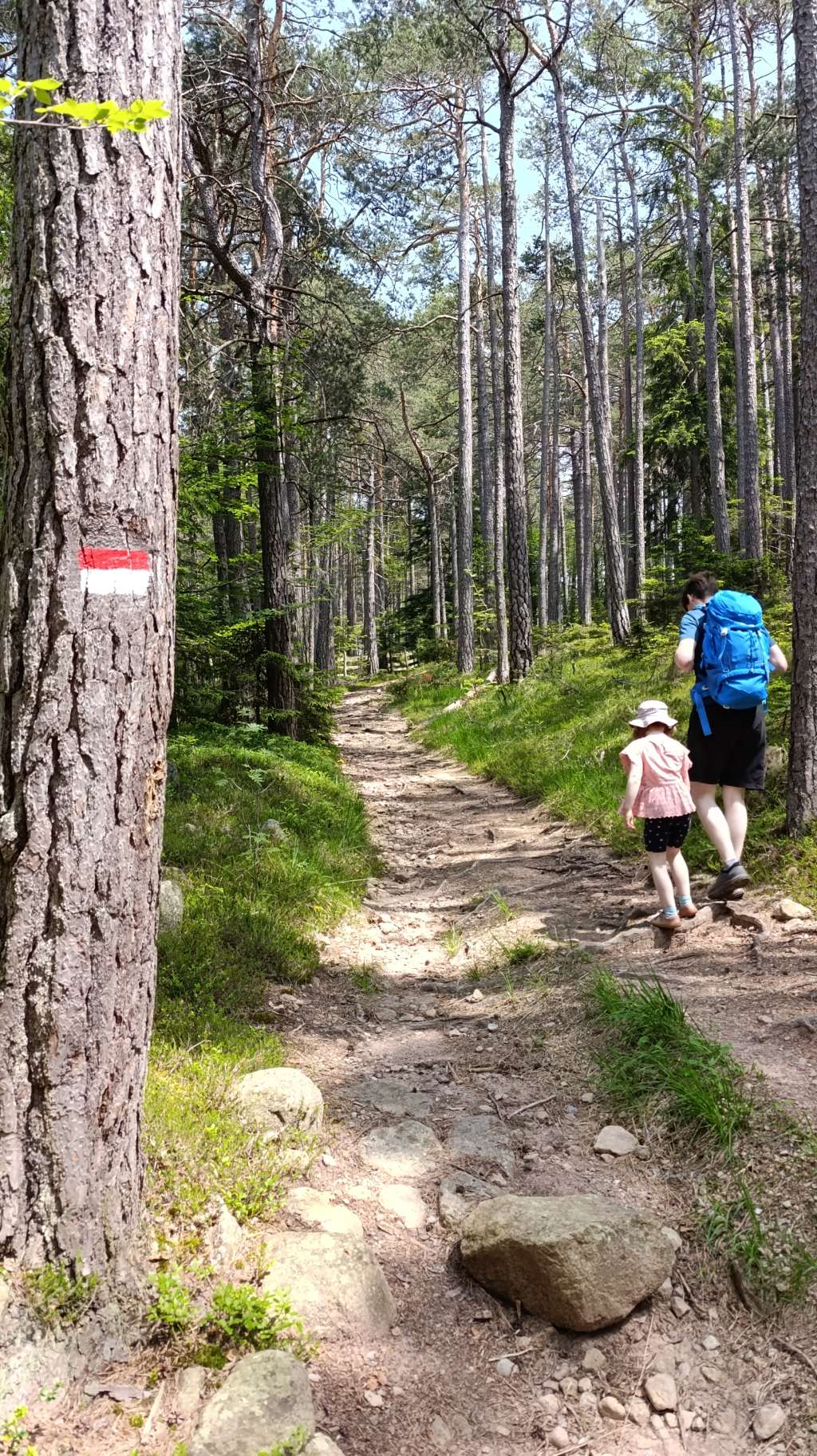 wandern mit kindern südtirol oberbozen