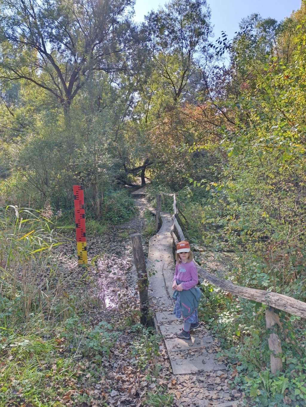 auen-wildnispfad rhein wanderweg