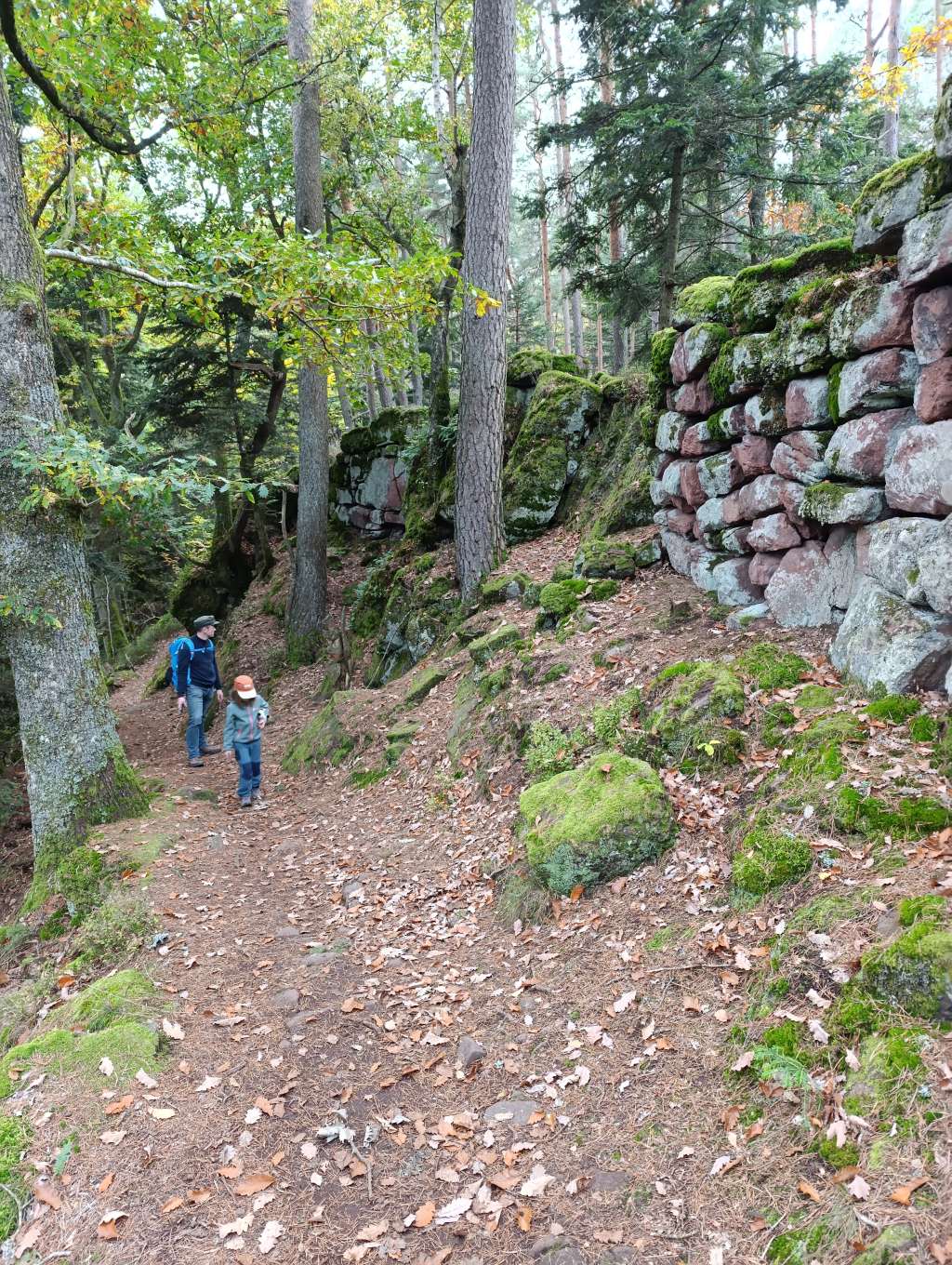 elsass familienurlaub wandern mur paien