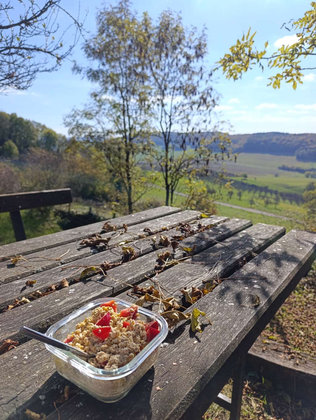 lothringen colline de sion picknick