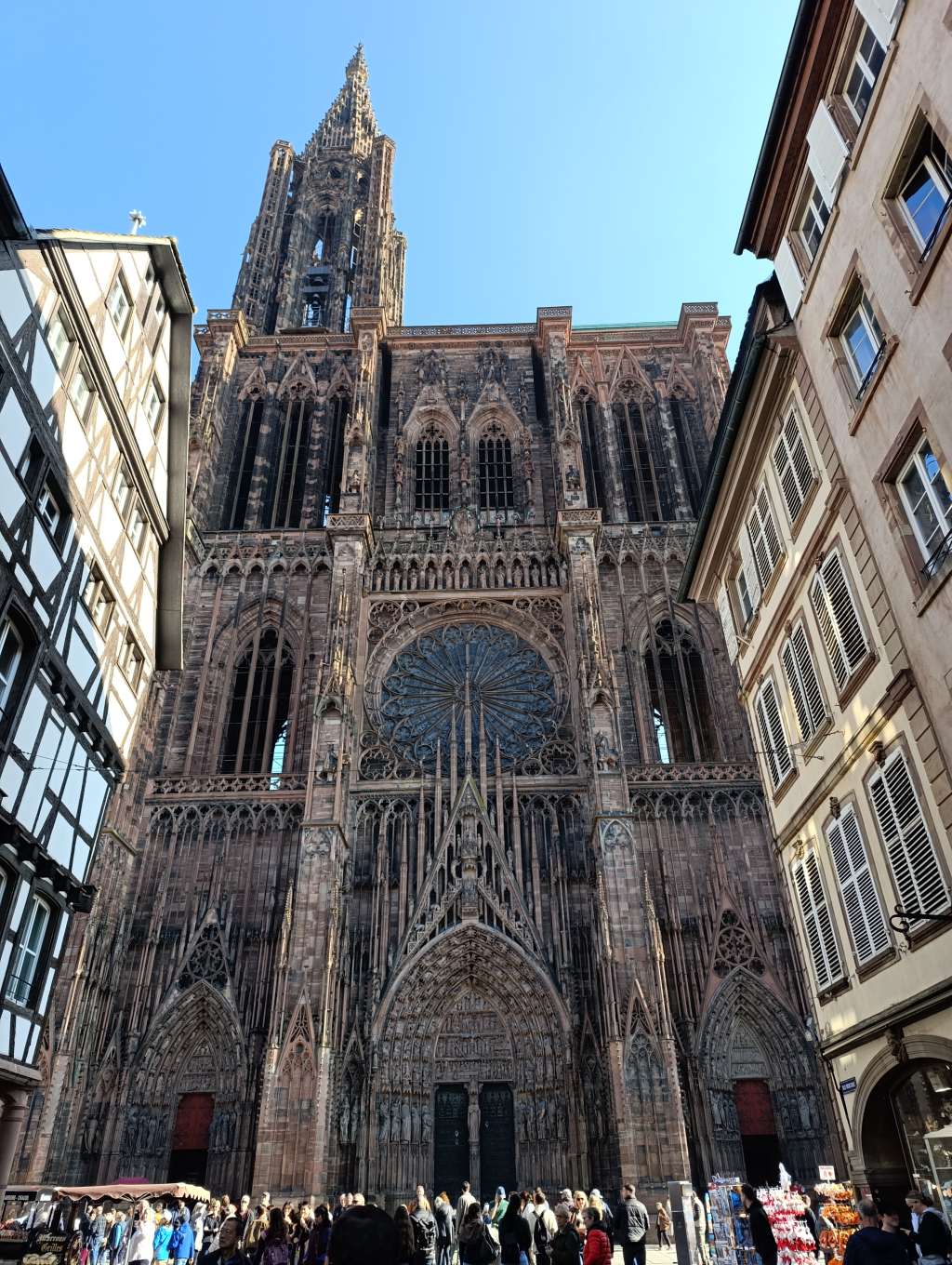 Straßburg münster