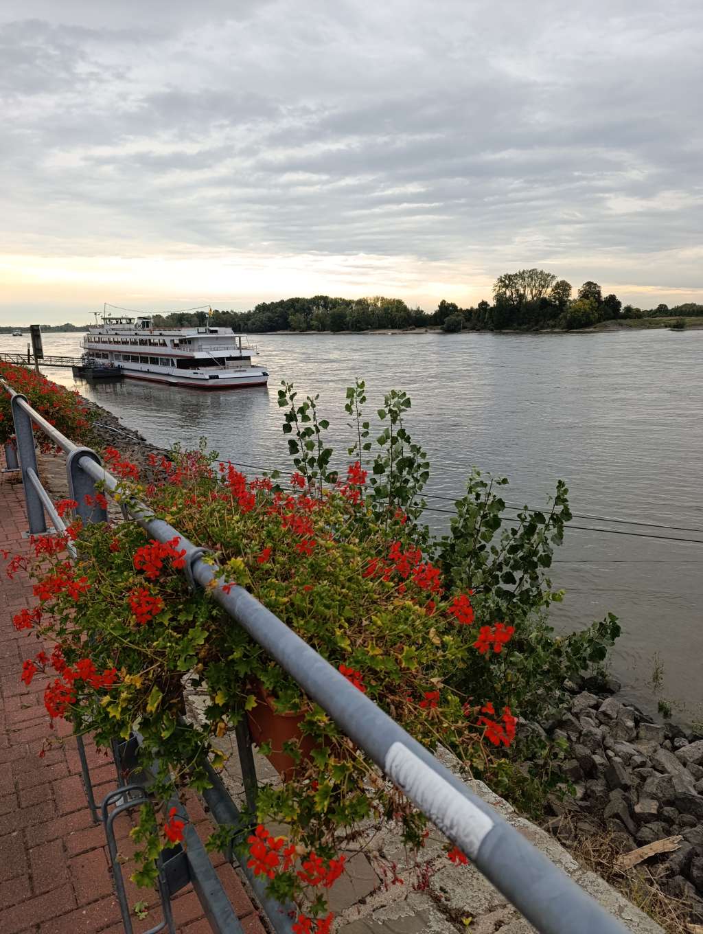 niederrhein rees schifffahrt