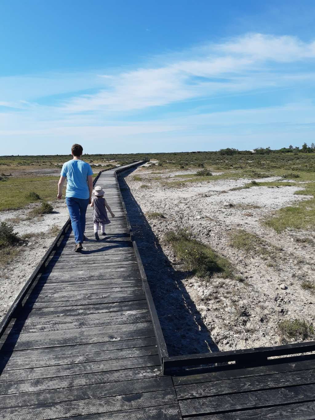 öland mit kindern stora alvaret wandern möckelsmoss