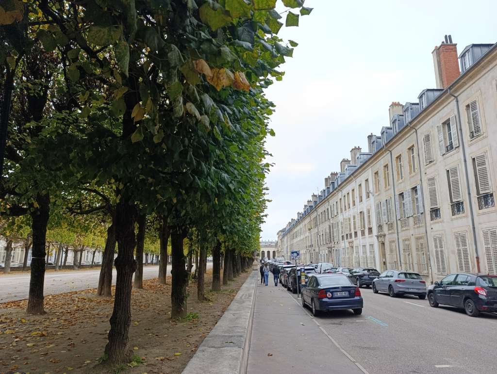 nancy place de la carriere