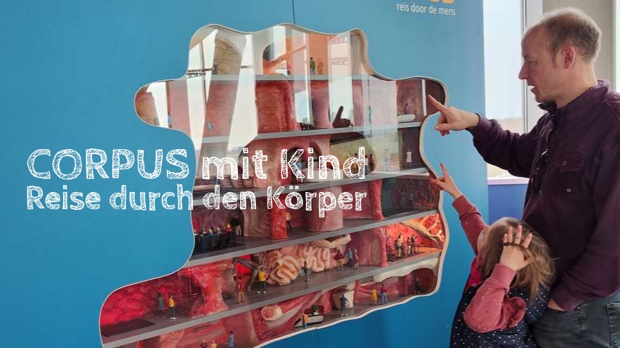 corpus leiden erfahrungen beitragsbild