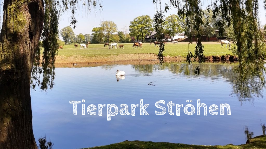 tierpark ströhen ausflugsziel für familien