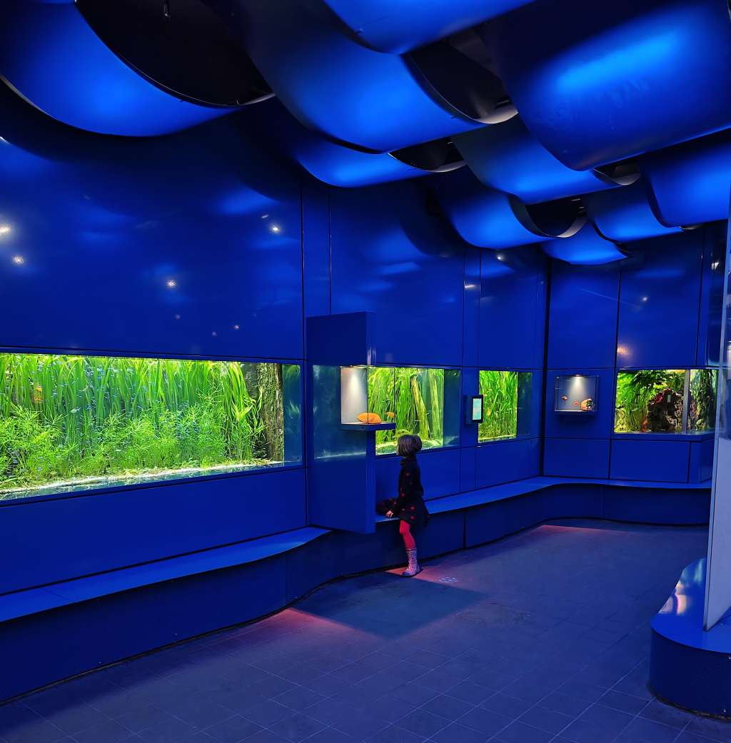 hannover mit kindern landesmuseum naturkunde