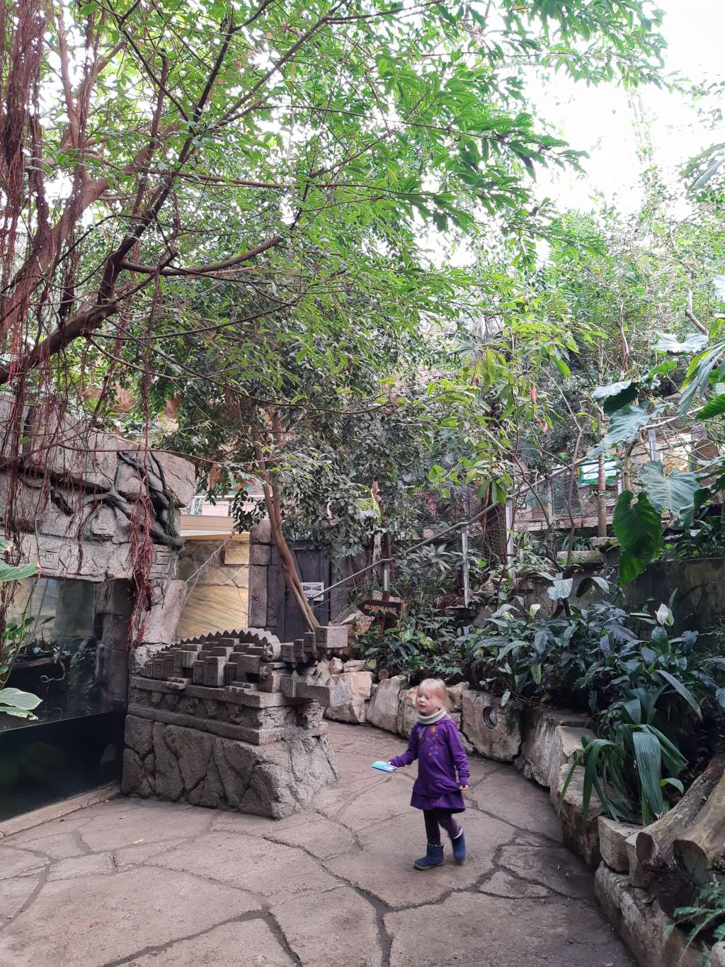 hannover mit kindern sea life tropenhaus