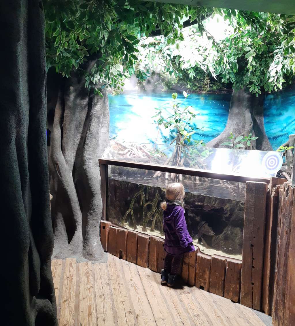 hannover mit kindern sea life