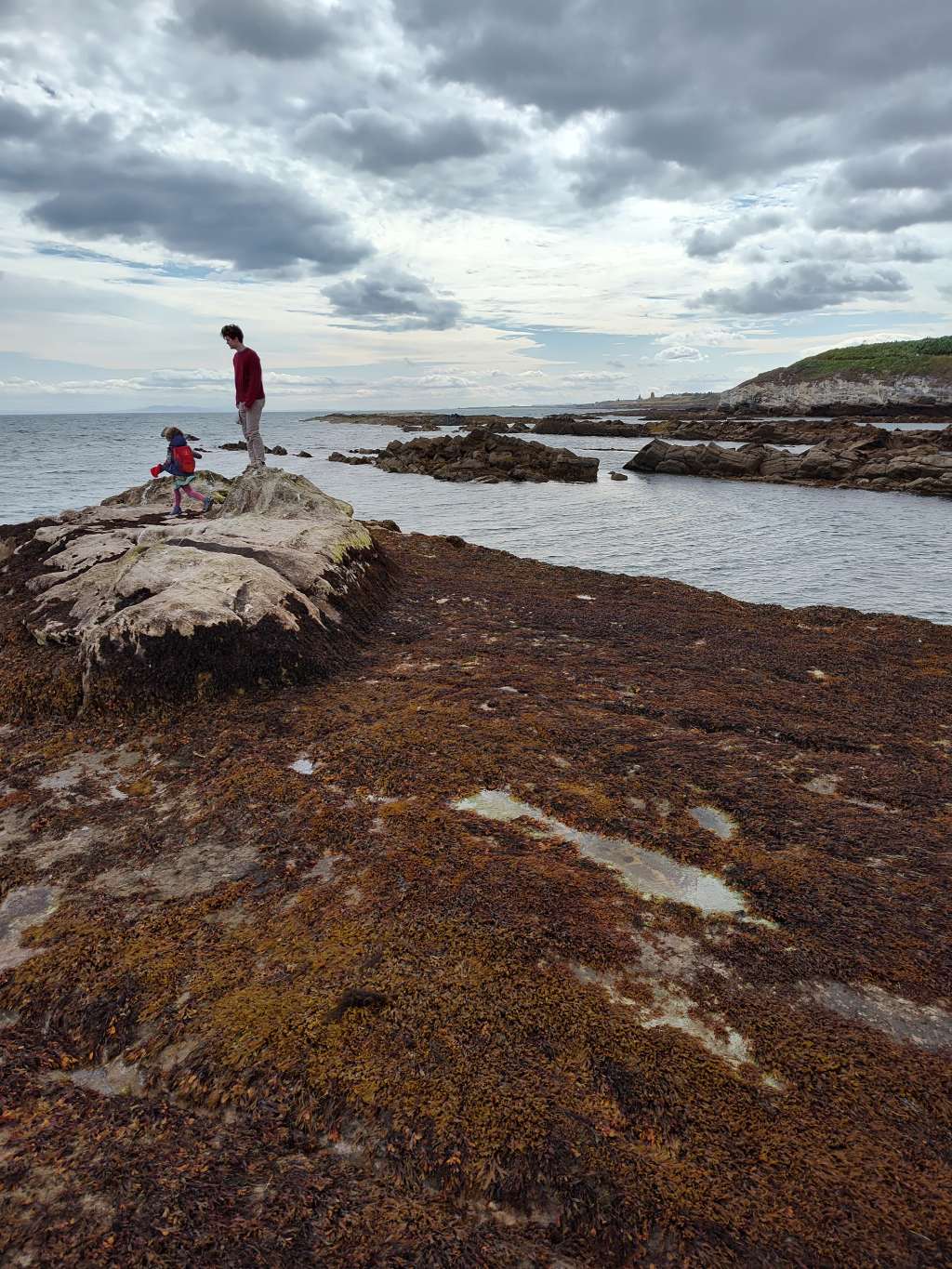 east neuk schottland pittenweem