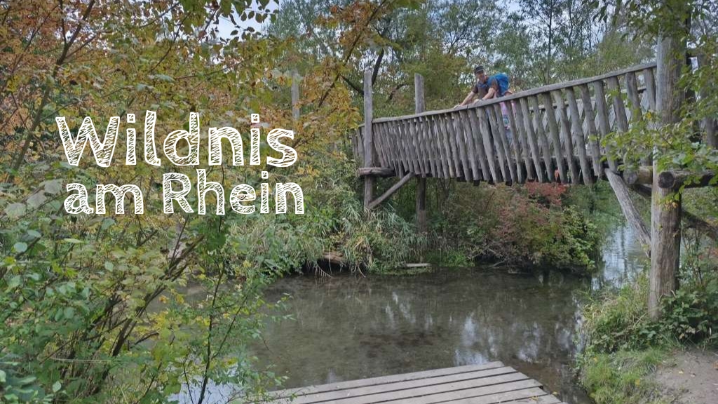 rhein kehl wildnispfad